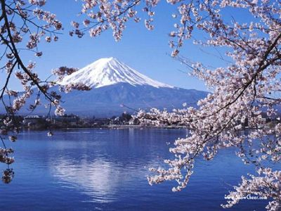 日本留學專業