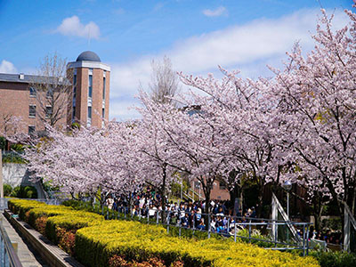 日本大学