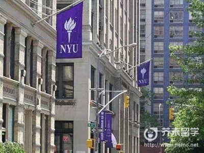 紐約大學電影學院