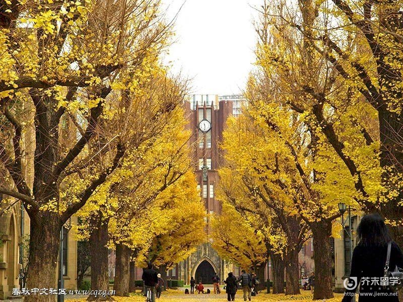 日本早稻田大学