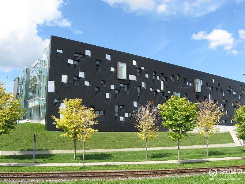 滑铁卢大学专业