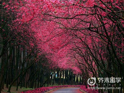 留學生在日本