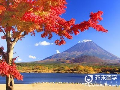 出國的利弊