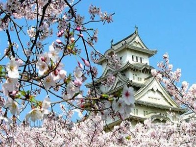 去日本留學要多少錢