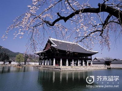 韓國留學多少錢