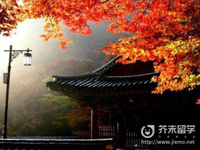 韓國留學費用