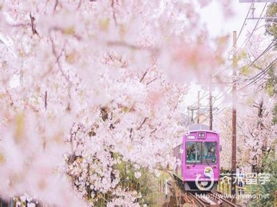 日本艺术留学