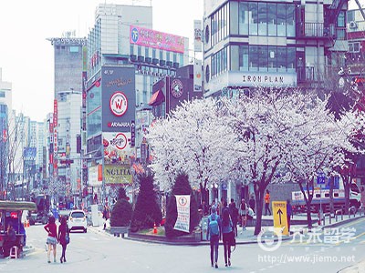 韓國留學費用一年多少錢,韓國留學費用