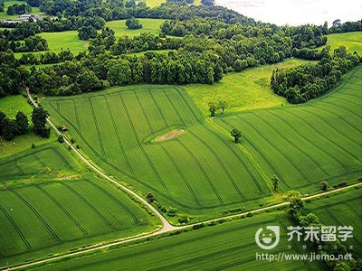 愛(ài)爾蘭大學(xué)排名,愛(ài)爾蘭大學(xué)排名