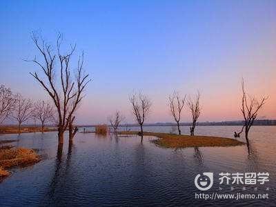 日語學(xué)習(xí)
