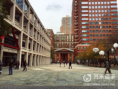 纽约大学工学院