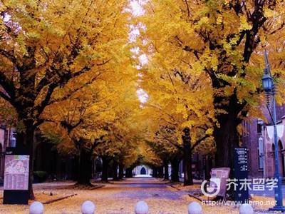 日本留學(xué)生活