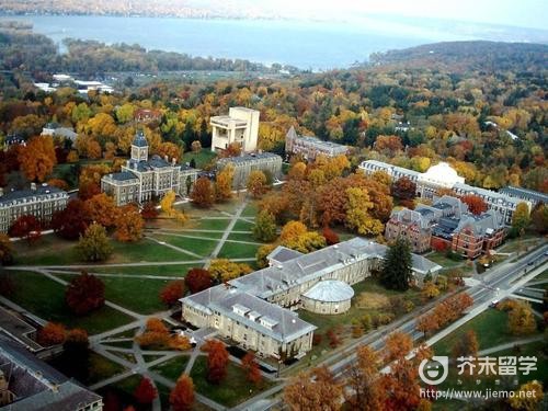 英国野鸡大学