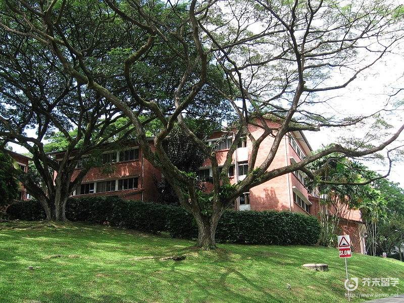 新加坡國立大學學費