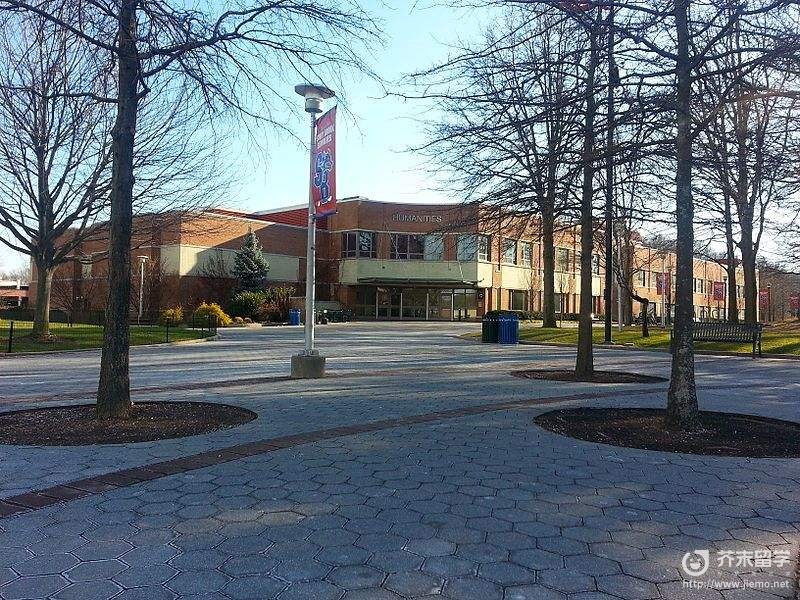 紐約州立大學石溪分校