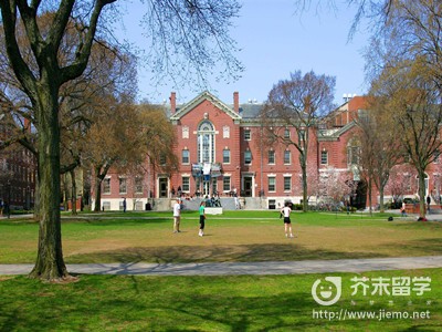 布朗大学