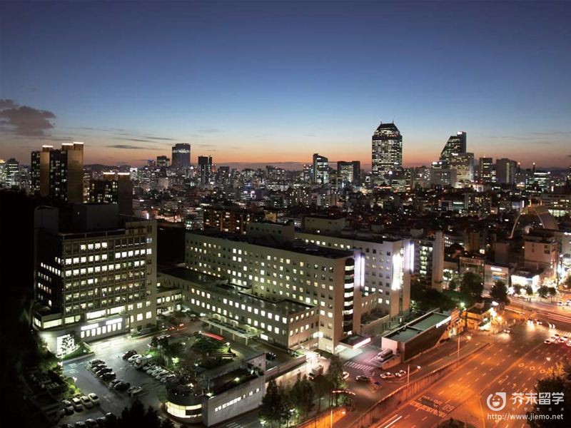 韩国延世大学专业 申请条件 芥末留学 韩国延世大学专业 申请条件 芥末留学