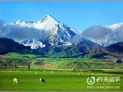新西蘭留學(xué)申請(qǐng)條件