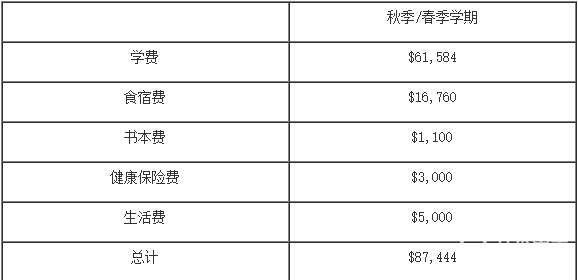 康奈尔大学mba