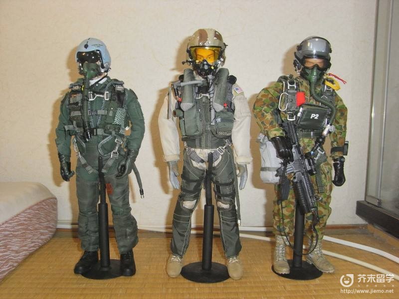 日本自衛隊