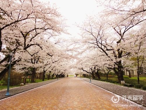 日本國立大學