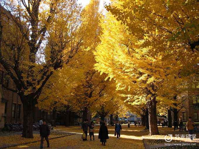 日本东京大学