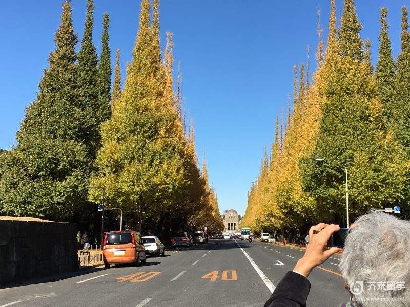 圣德大学