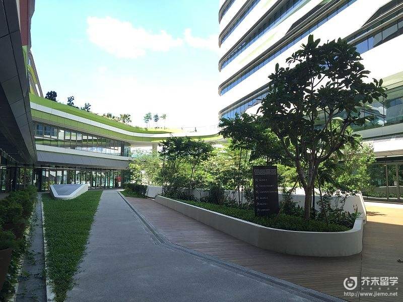 新加坡理工大學