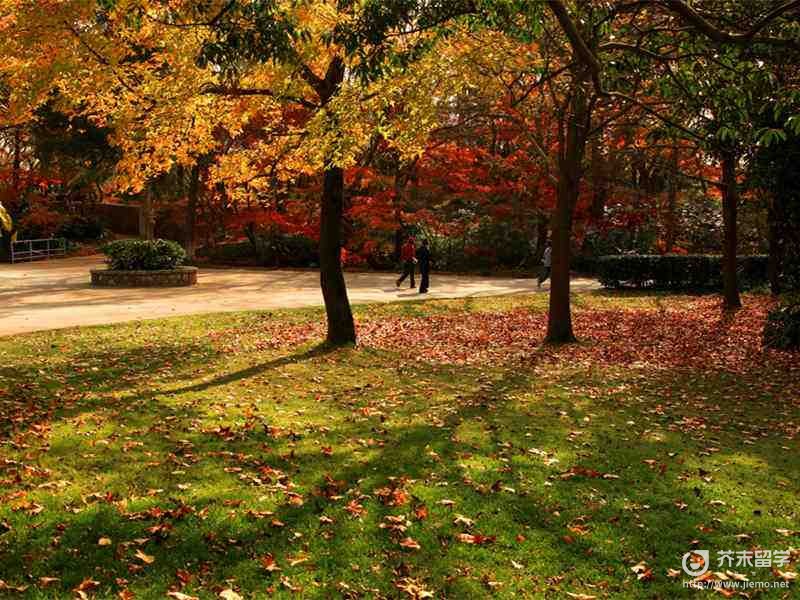 日本东京大学