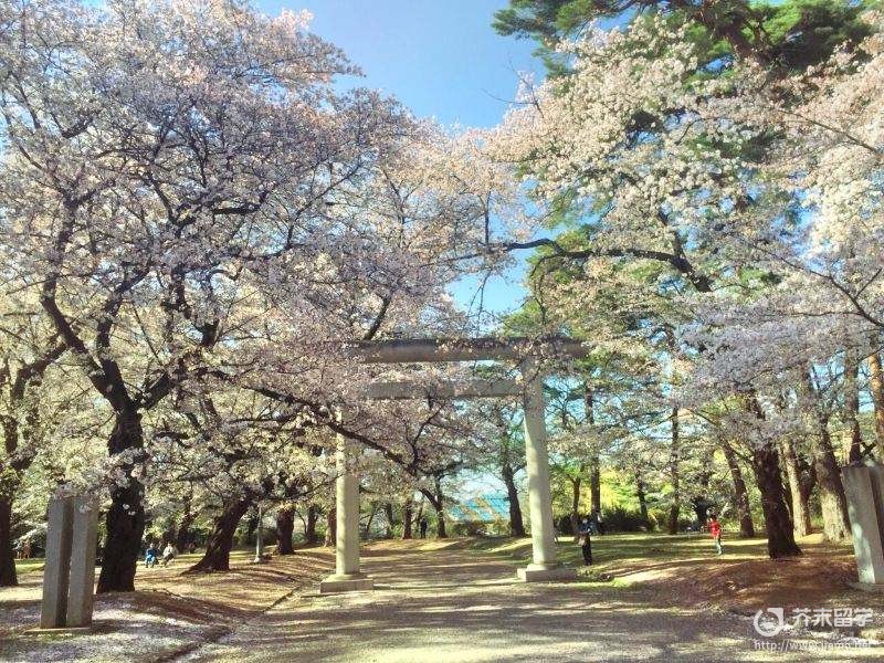 埼玉大學