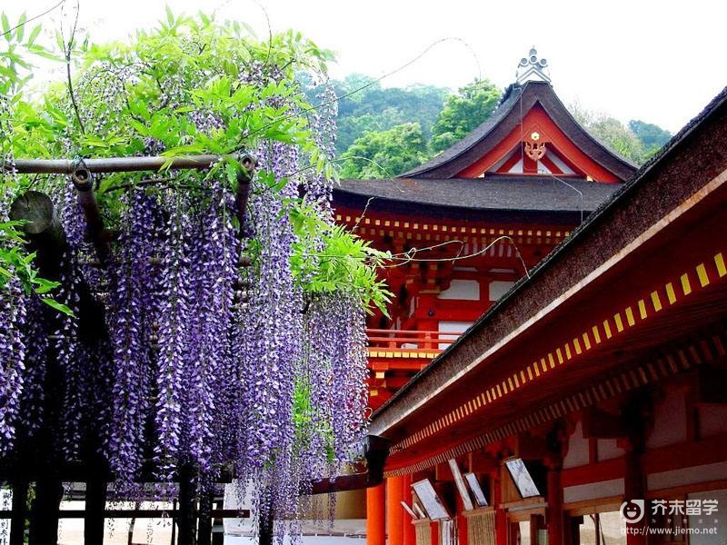 東京學(xué)藝大學(xué)