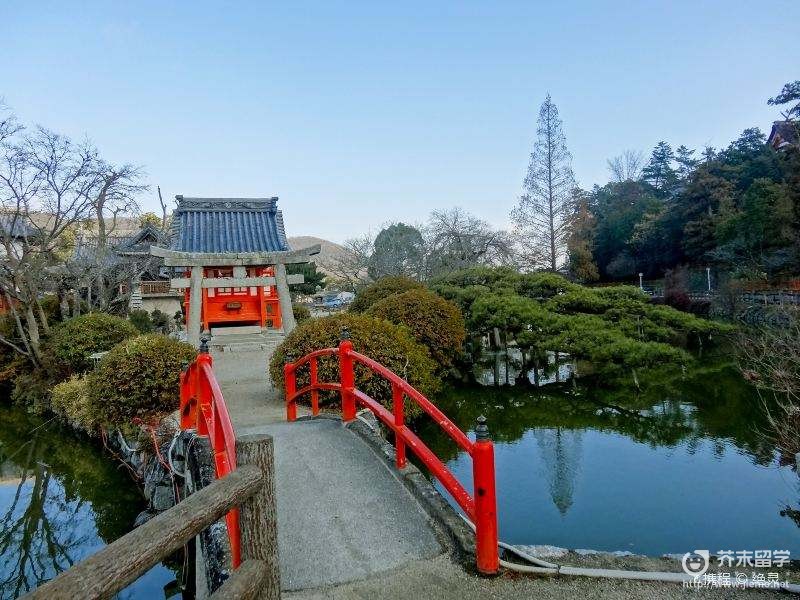 日本會津大學