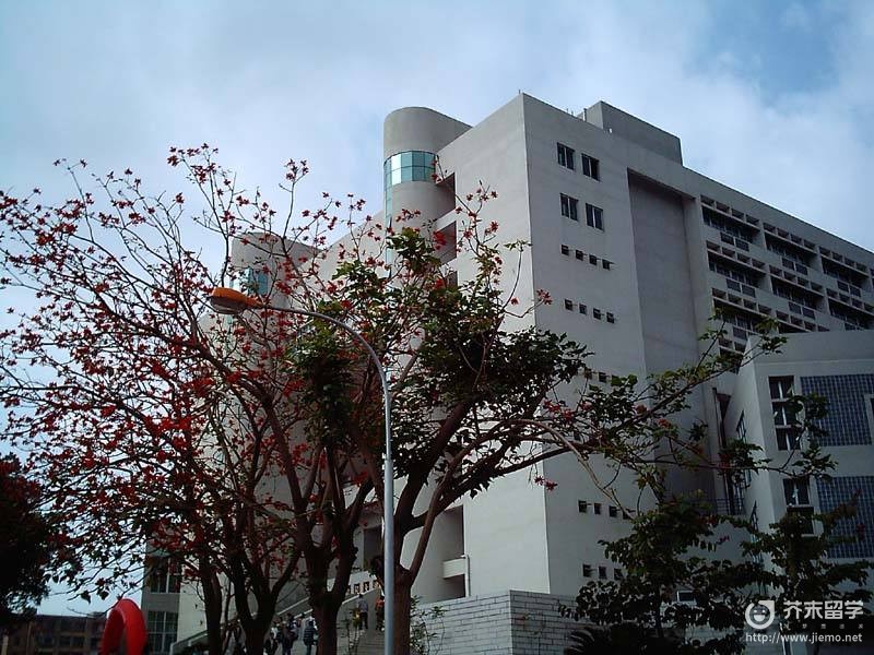 東北學院大學