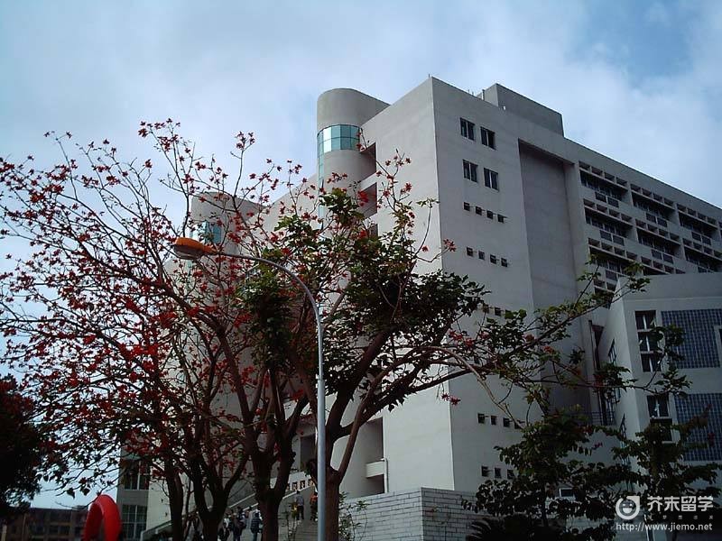 東北 学院 大学 解答