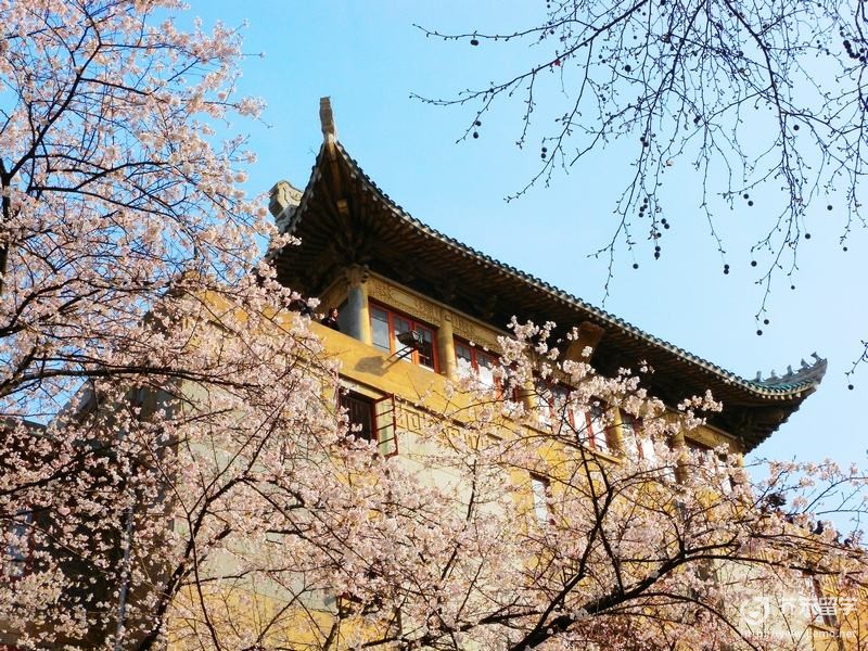 上武大学