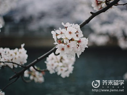 去日本出國留學的條件