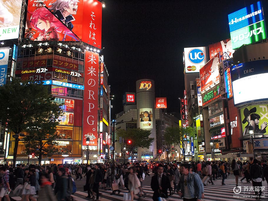 日本專門學校專業