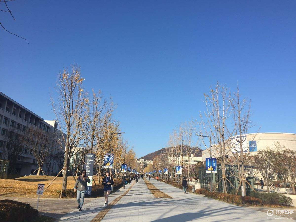 延世大學留學條件