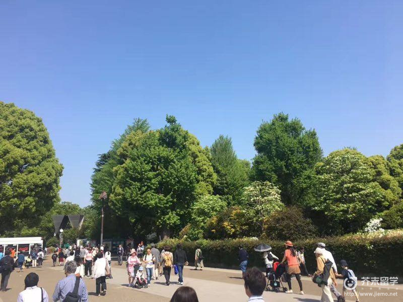 明治大學世界排名