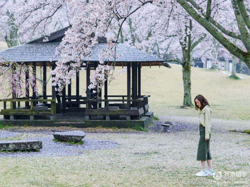 日本靜岡大學