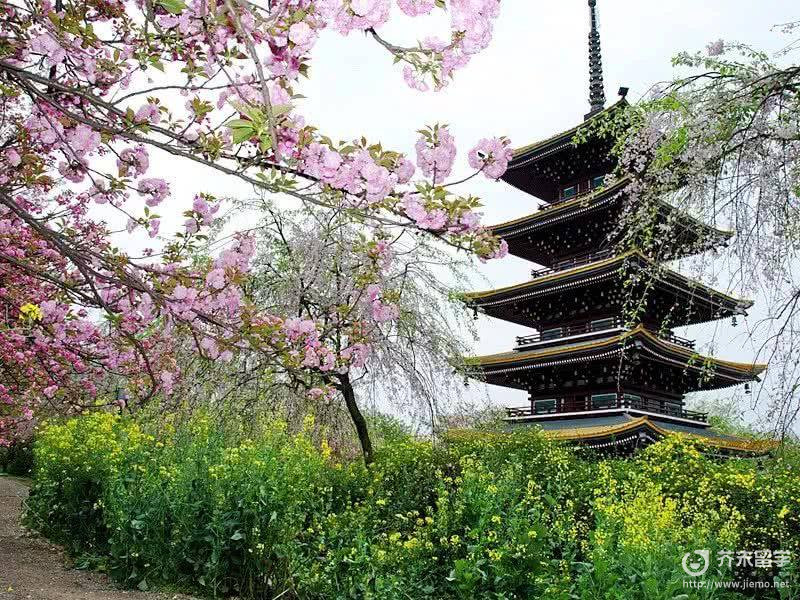 南山大學(xué)