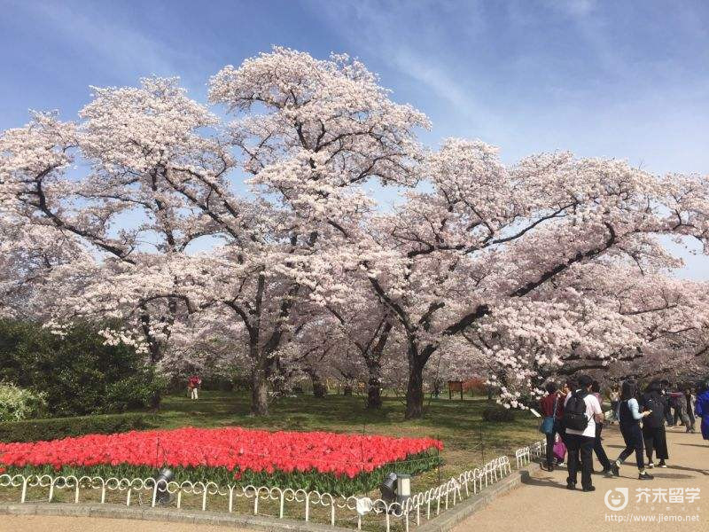 京都市立艺术大学