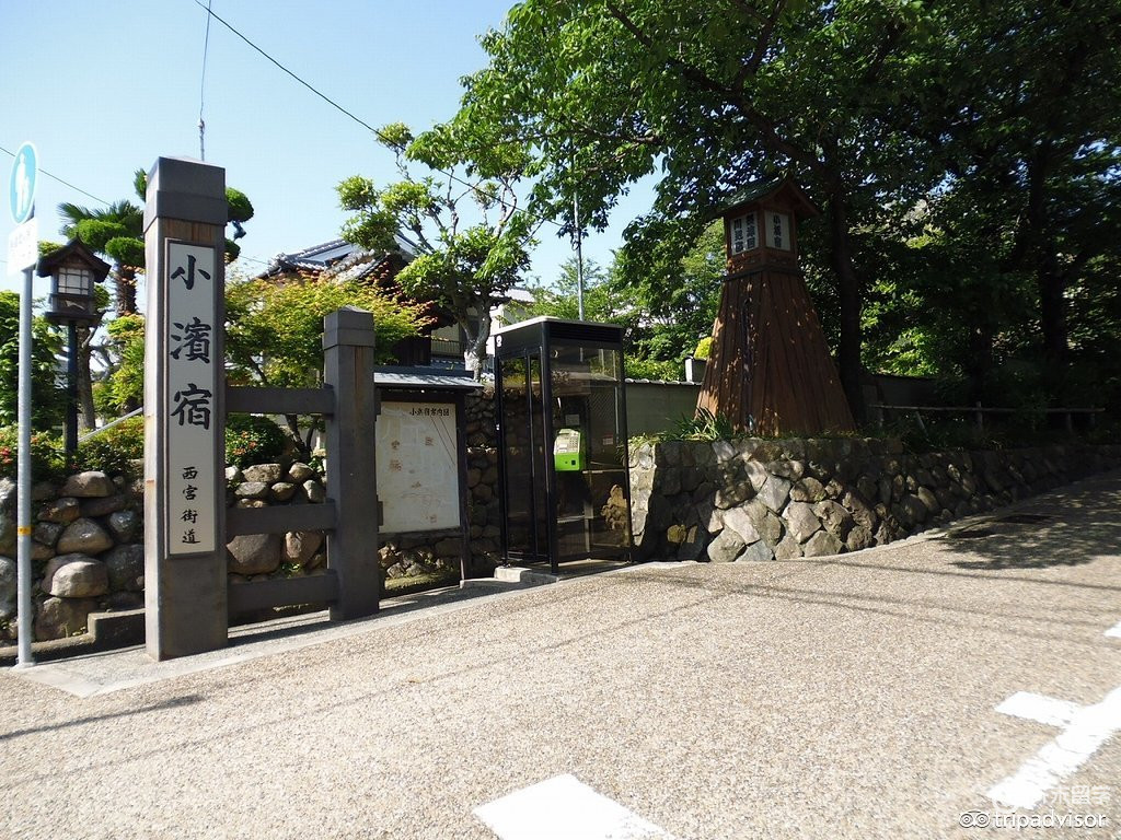 寶冢大學