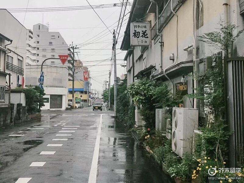 佐賀大學