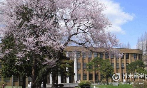 京都精華大學
