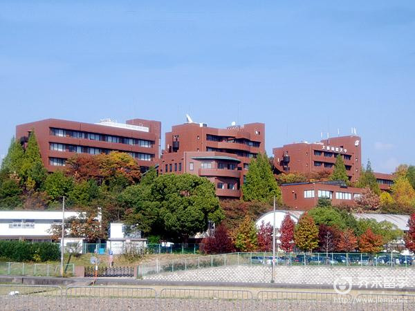 大阪國際大學