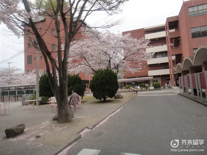 九州女子大學