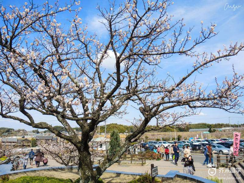 日本留學時間規劃