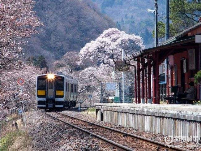 东西日本语学校