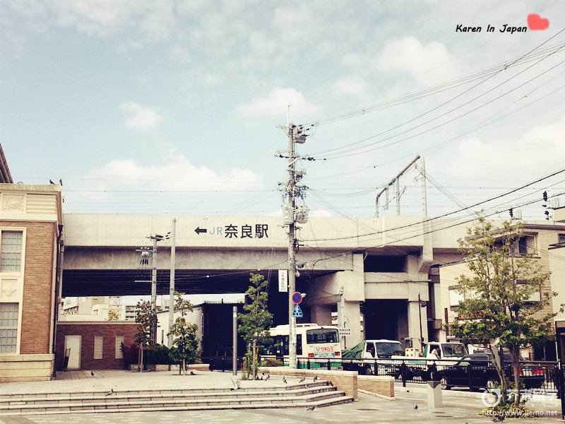 鳥取大學申請條件
